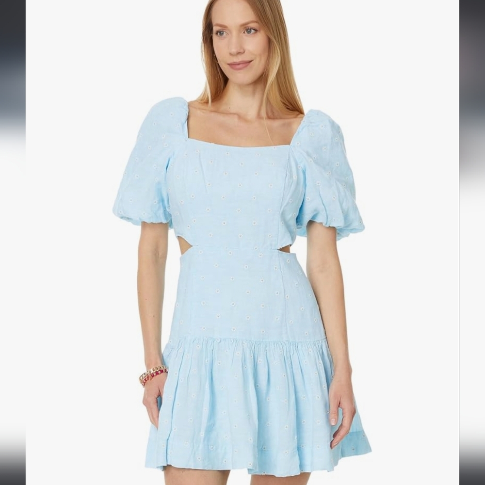 NWT Lilly Pulitzer Kylanne Drive Me Daisy Linen Dress - Picture 3 of 16